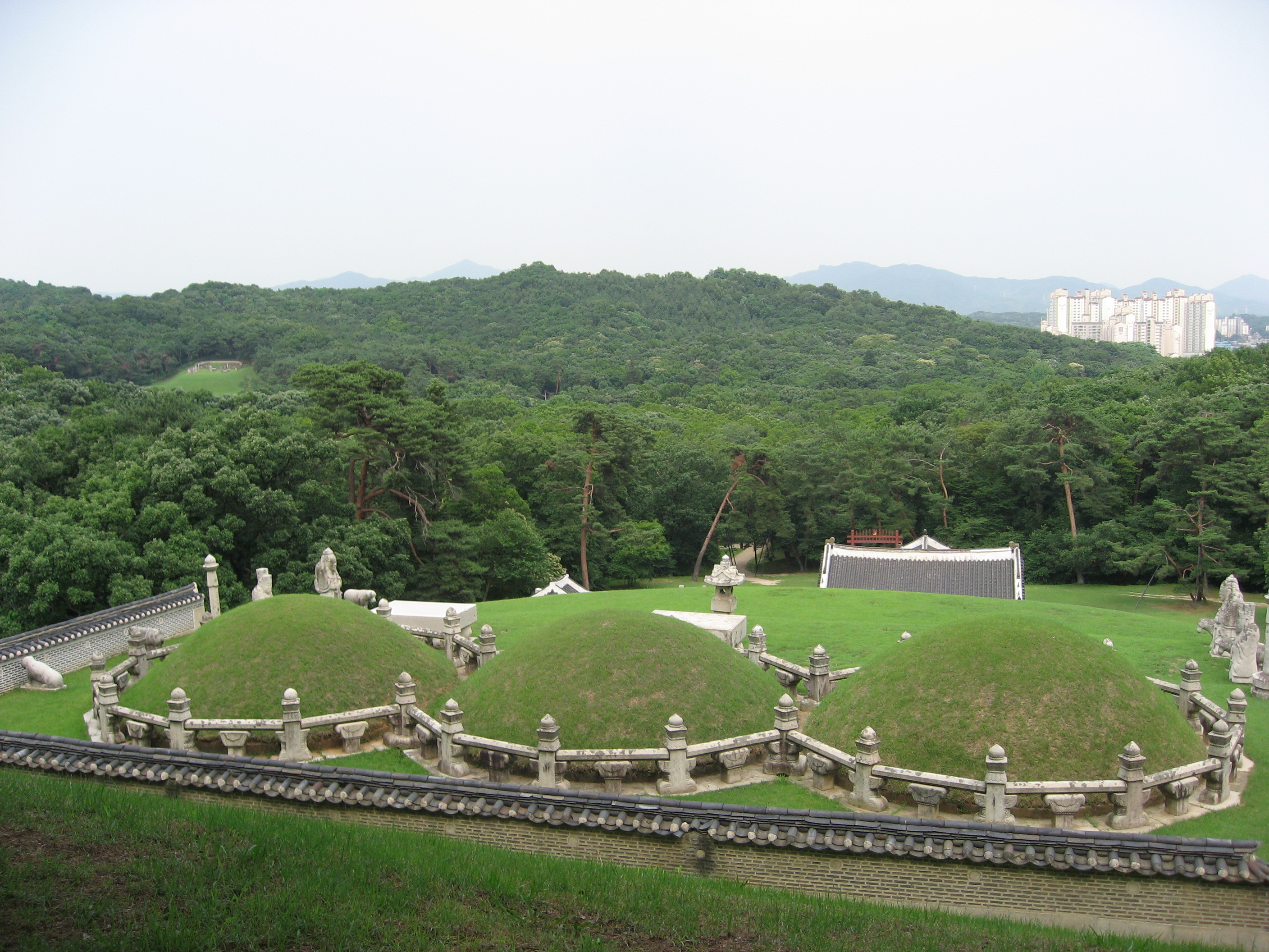 경릉20100622-21.JPG